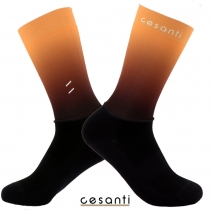 CESANTI Pro Unisex Cycling Socks Bike Accessories Men and Women