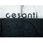 CESANTI Men Pro Cycling Jersey Short Sleeve Cool Bike Clothing Summer